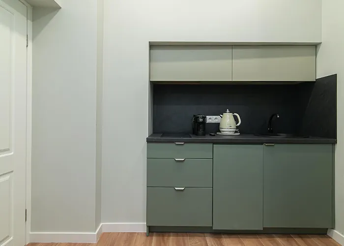 公寓 Flowers 维尔纽斯